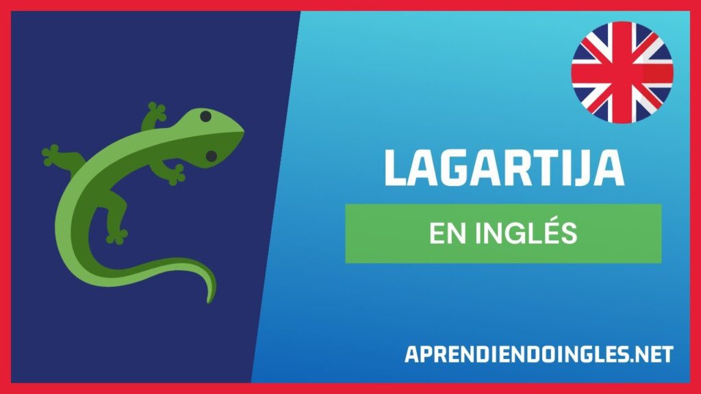 Como Se Dice Lagartija En Inglés